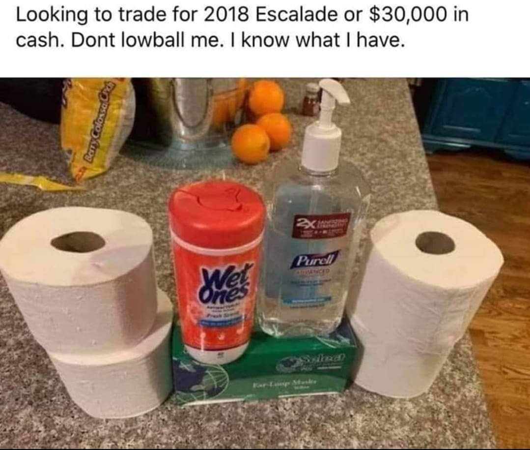 Image for 4 toilet rolls, wipes and hand wash. Looking to trade for 2018 Escalade or $30,000 in cash. Don't snowball me. I know what I have.